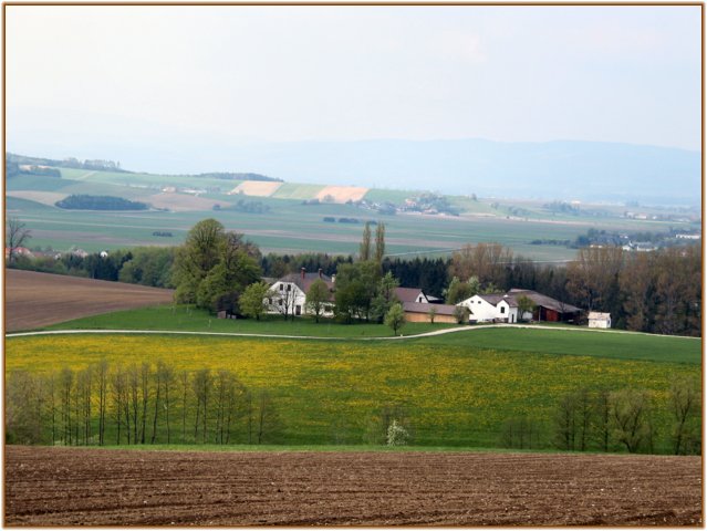 124-2440a_img.jpg