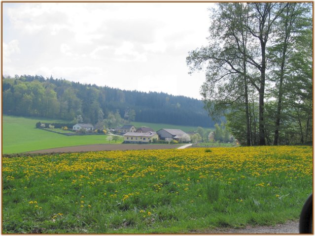 124-2475a_img.jpg
