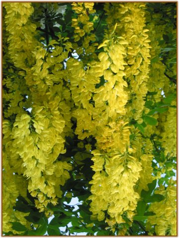 126-2649_img.jpg