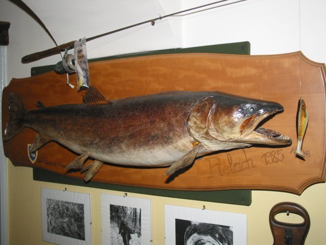 img_6414.jpg