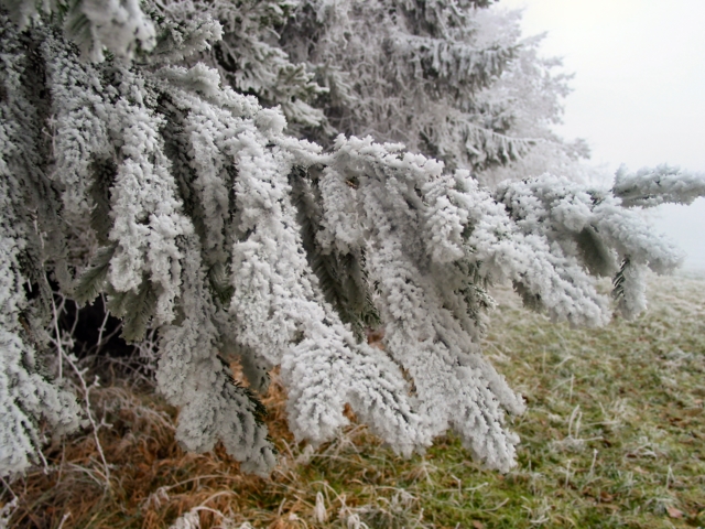 110-1028b_img.jpg