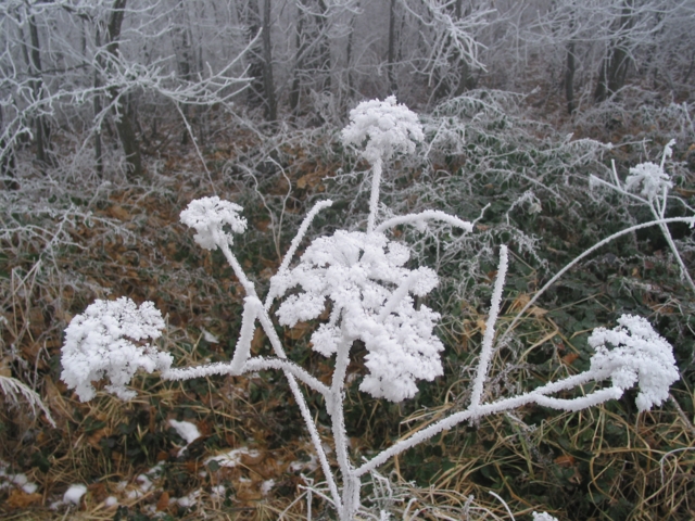 110-1035_img.jpg