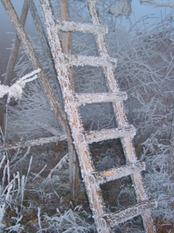 110-1037b_img.jpg