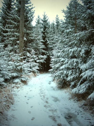 110-1052b_img.jpg