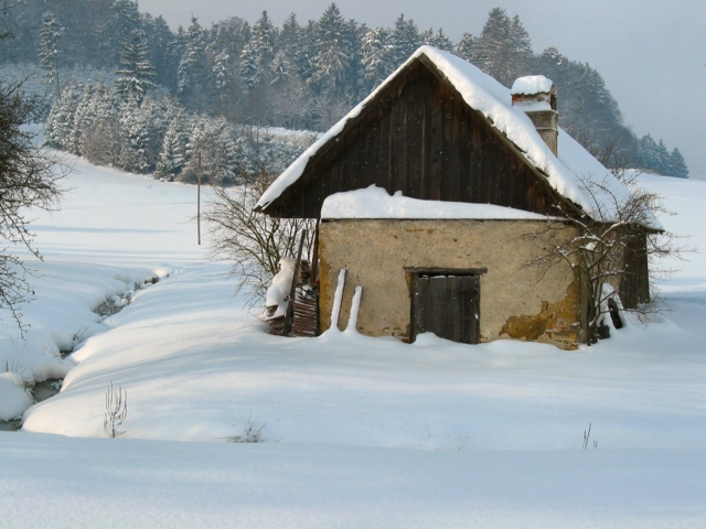 110-1098b_img.jpg