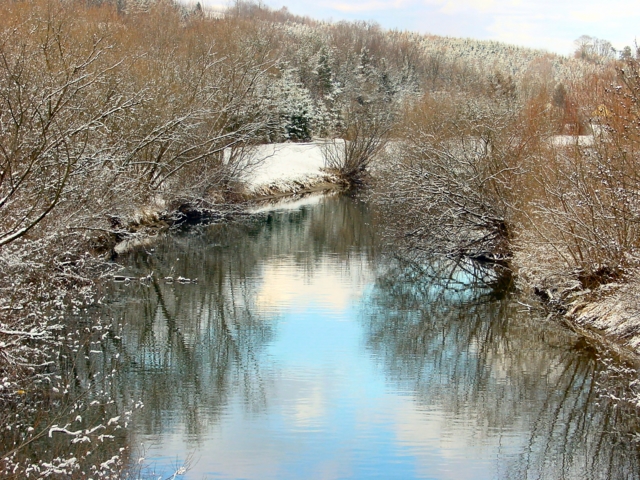 dsc000066b.jpg