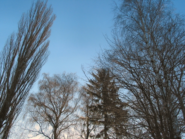 img_3684b.jpg