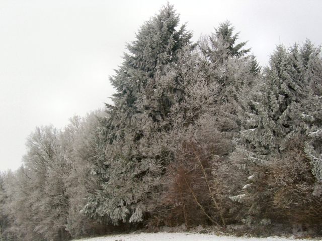 img_7155a.jpg